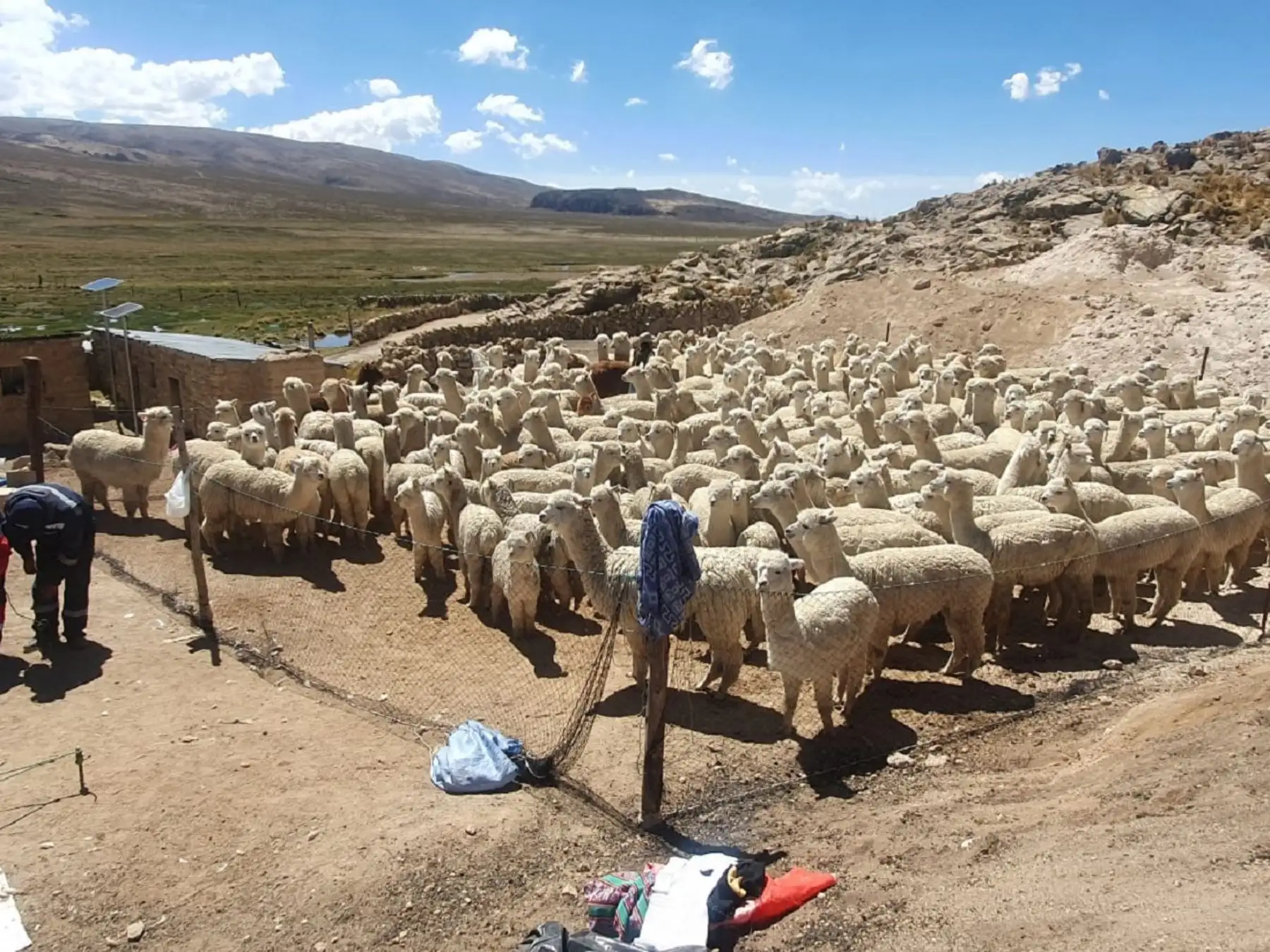 ANDINA/Difusión