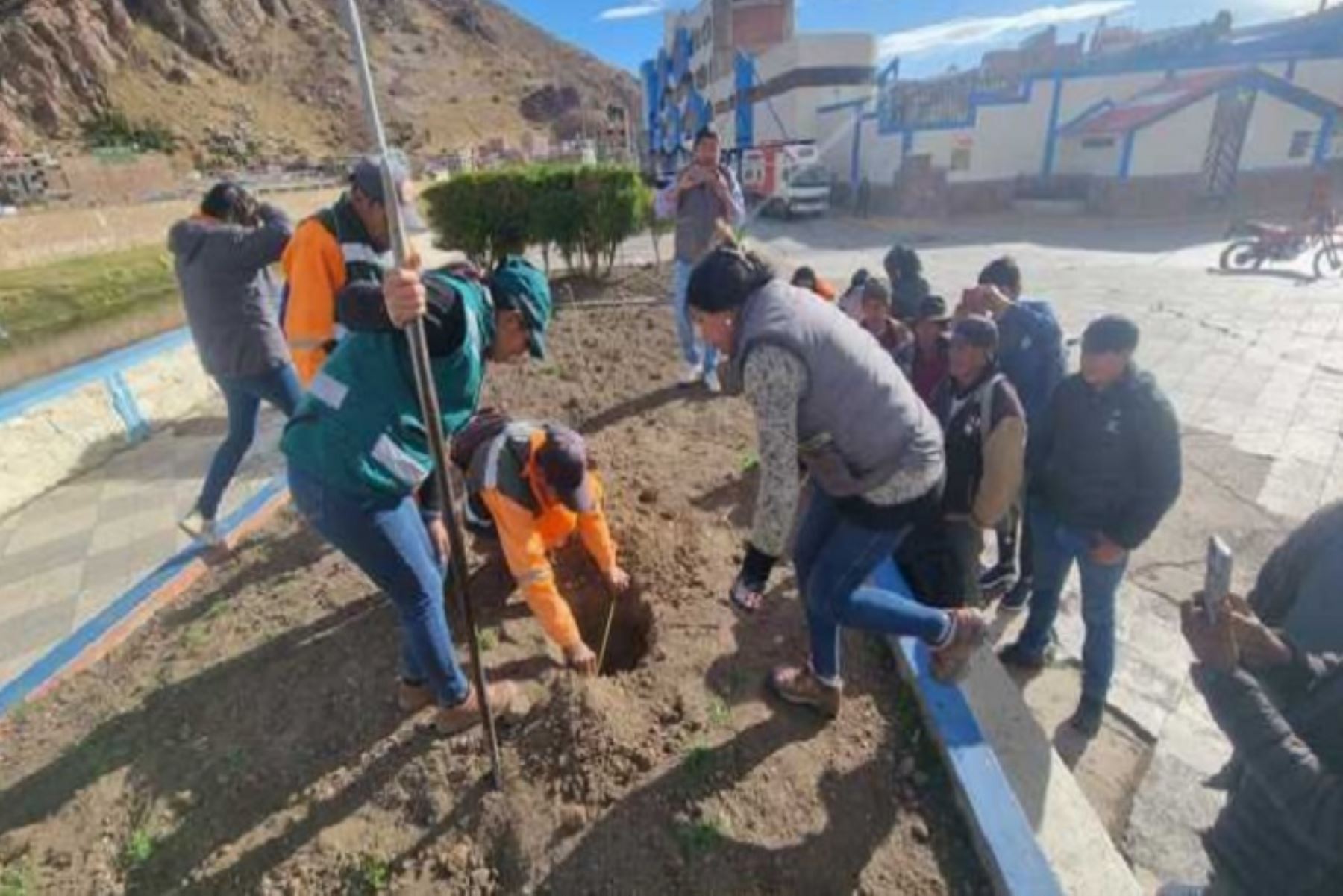 En la provincia de San Antonio de Putina se efectuará el mayor número de plantaciones en cinco comunidades campesinas,