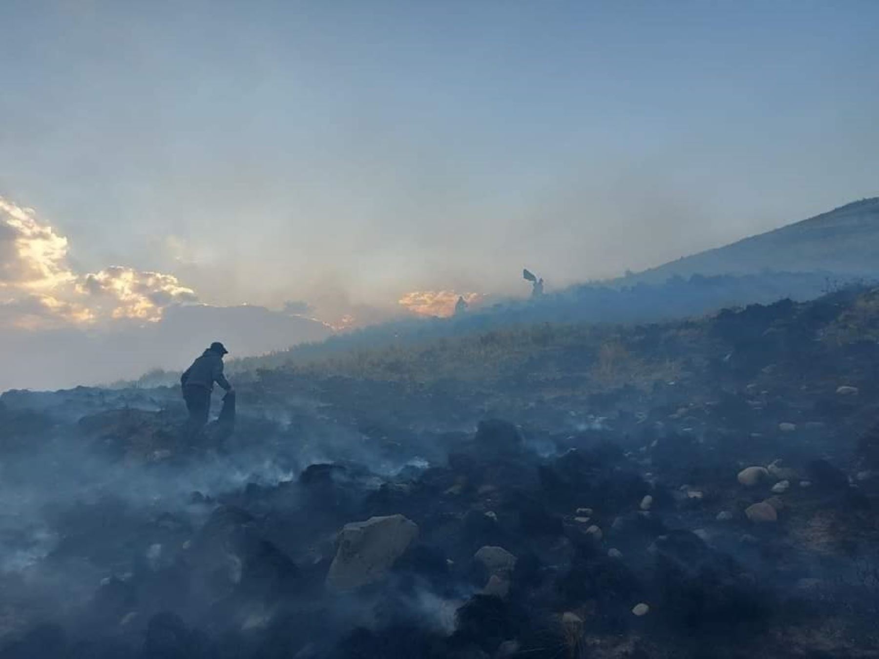 Las comunidades de Aurincota y Yorohoco, ubicadas en la provincia puneña de Chucuito, son las más afectadas por el voraz incendio forestal que ha arrasdo con pastizales y cobertura natural. ANDINA/Difusión