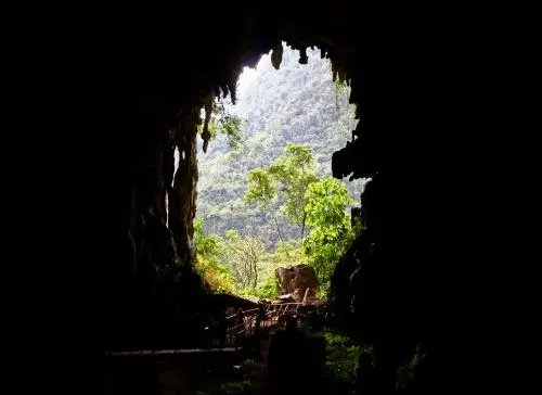 Mejorarán la infraestructura turística en la Cueva de las Lechuzas, uno de los principales atractivos de Huánuco que se ubica en el Parque Nacional Tingo María.
