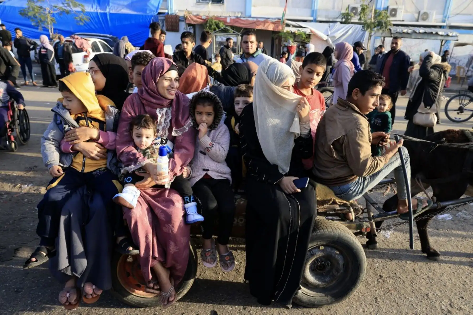 Los palestinos refugiados en centros temporales regresan a sus hogares en el este de Khan Yunis, en el sur de la Franja de Gaza, durante las primeras horas de una tregua de cuatro días en las batallas entre Israel y los militantes de Hamás, el 24 de noviembre de 2023. Foto: AFP