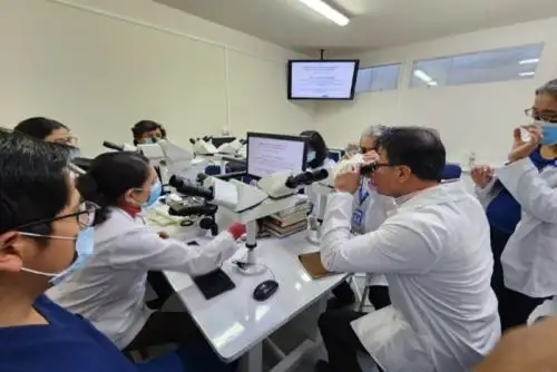Especialistas arequipeños y del exterior realizan la evaluación de los diagnósticos vía on line una o dos veces por semana.