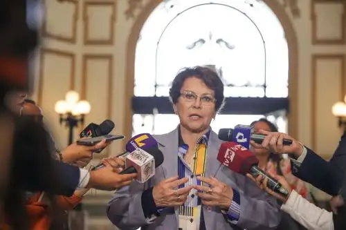 La congresista Gladys Echaiz es la poromotora del proyecto de ley. ANDINA/Andrés Valle