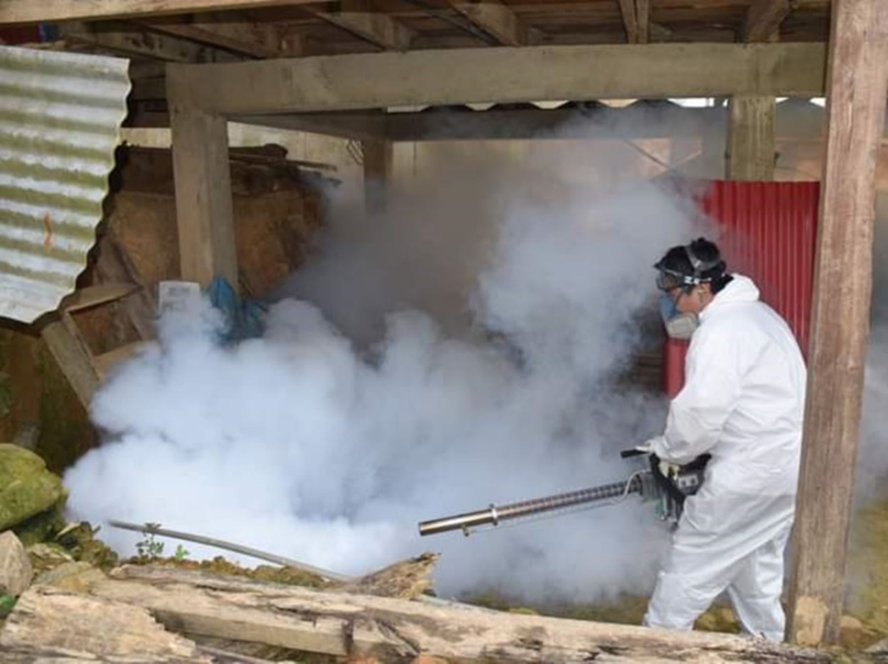 La Diresa Puno declara en alerta epidemiológica por brote de dengue al distrito de San Pedro de Putina Punco, ubicado en la provincia de Sandia. ANDINA/Difusión