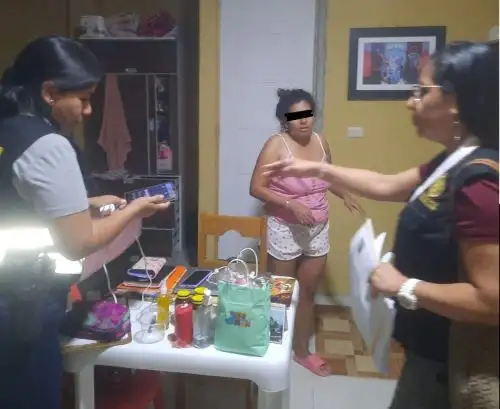 En un operativo ejecutado en cinco regiones del país, el Ministerio Público y la Policía Nacional desarticularon una red internacional dedicada al tráfico ilegal de madera. ANDINA/Difusión