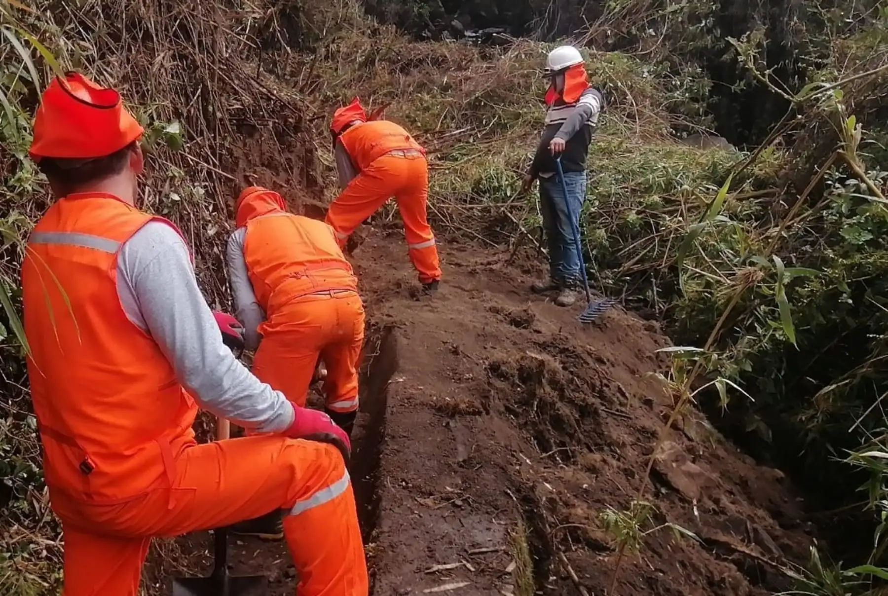 Agro Rural inicia ejecución de 183 obras de
rehabilitación de canales de regadío en 13 regiones