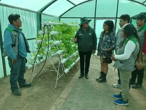 INIA-MIDAGRI busca mitigar efectos de El Niño Global con tecnología hidropónica