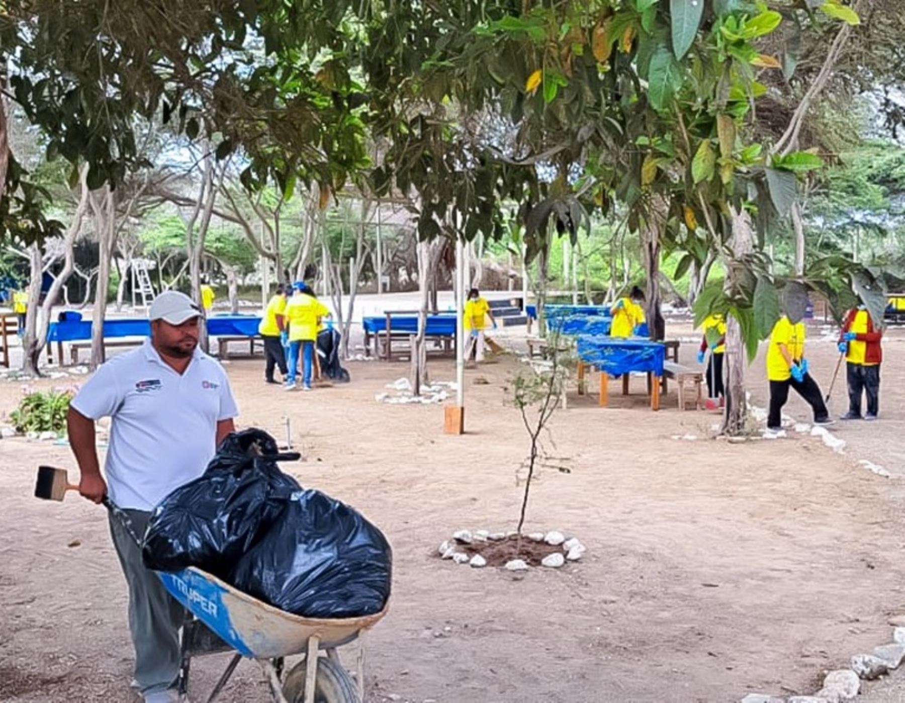 Voluntarios participaron de jornada de limpieza en alrededores del museo de sitio Chan Chan, ubicado en la provincia de Trujillo. ANDINA/Difusión