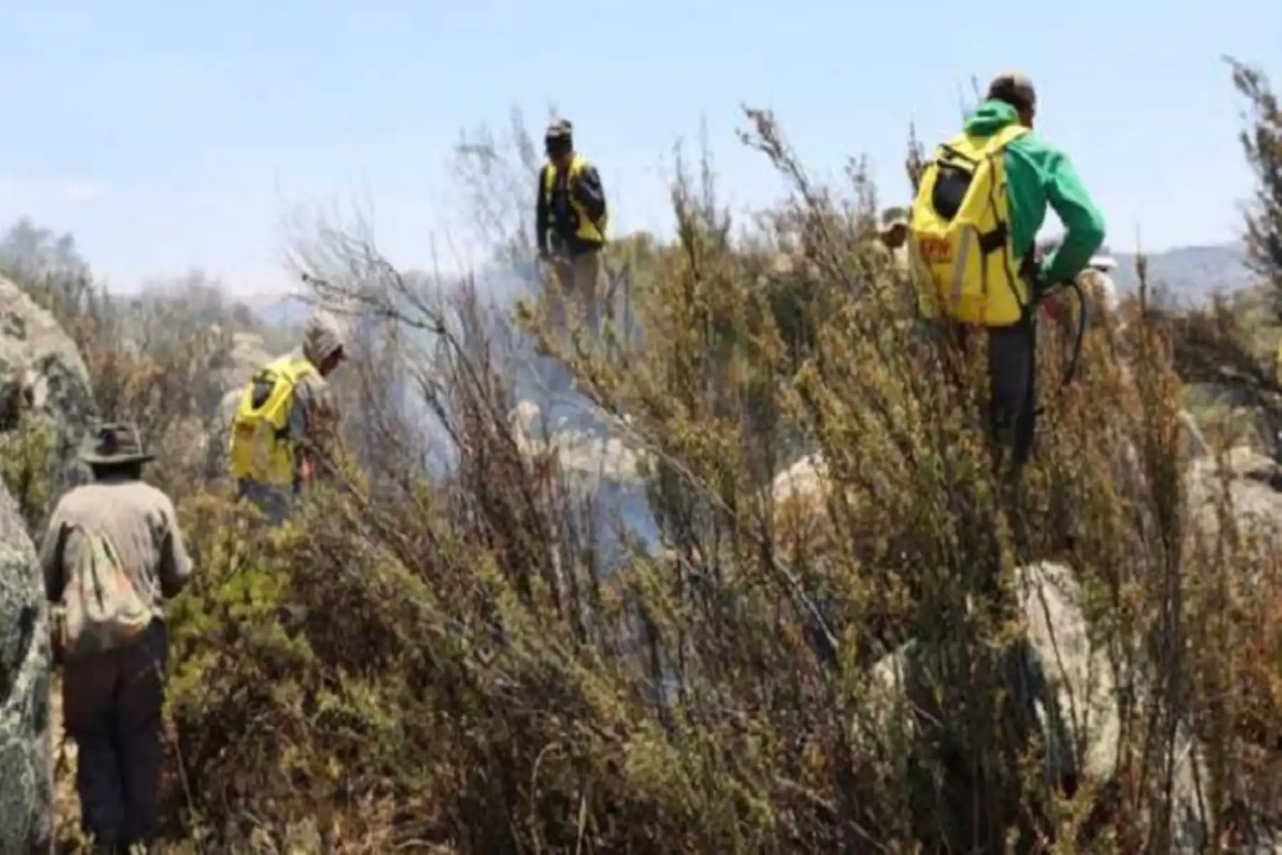 Si bien no se reportan daños a la vida y salud, el incendio forestal ha destruido hasta el momento, 135.05 hectáreas de cobertura natural.