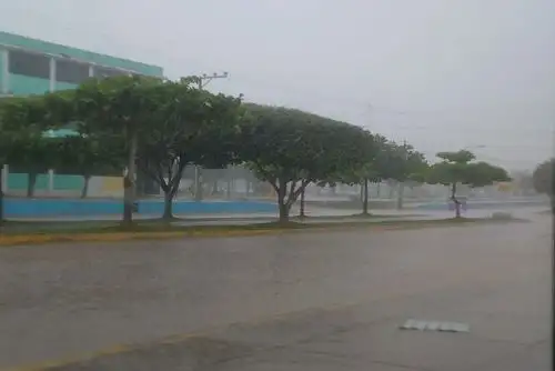 En la selva norte se esperan acumulado de lluvia cercanos a los 50 mm/día y sobre los 60 mm/día en selva centro.