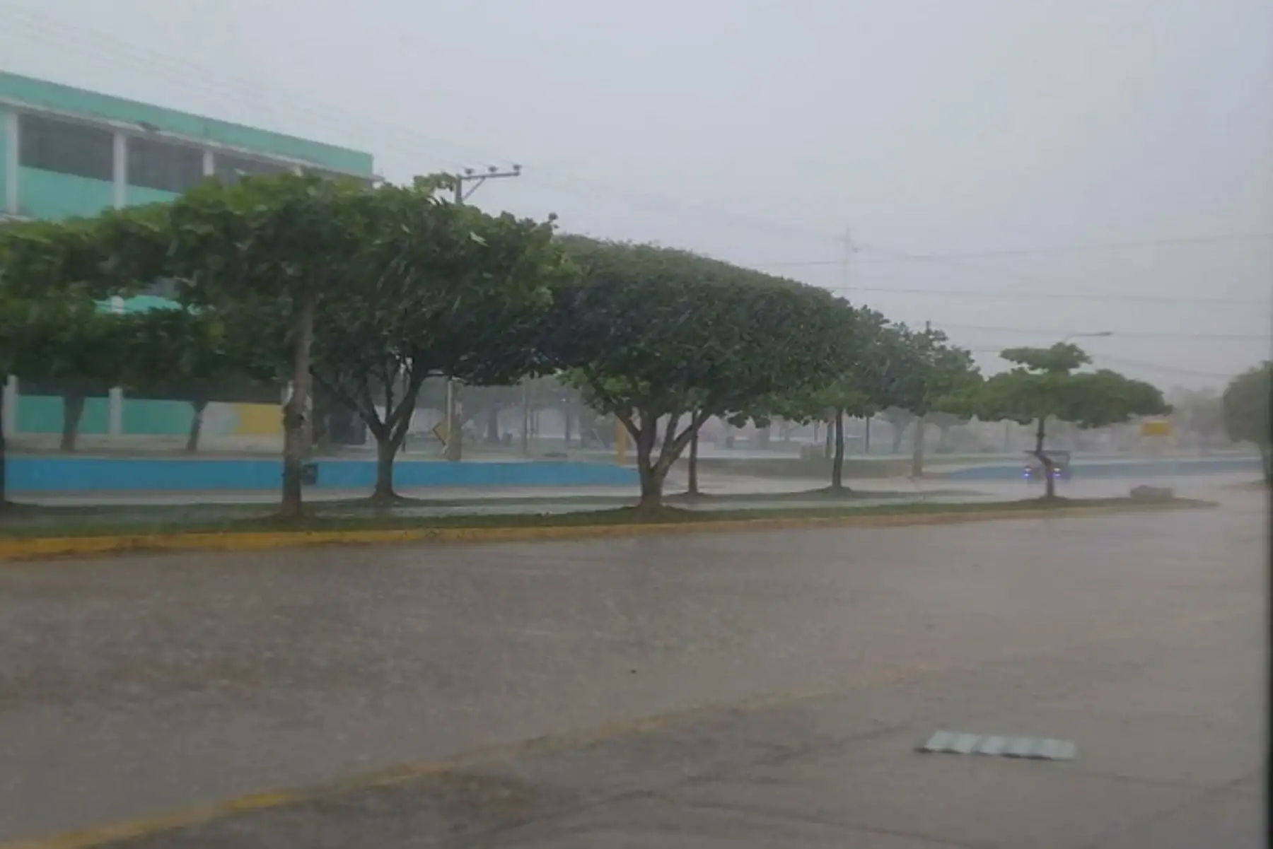 En la selva norte se esperan acumulado de lluvia cercanos a los 50 mm/día y sobre los 60 mm/día en selva centro.
