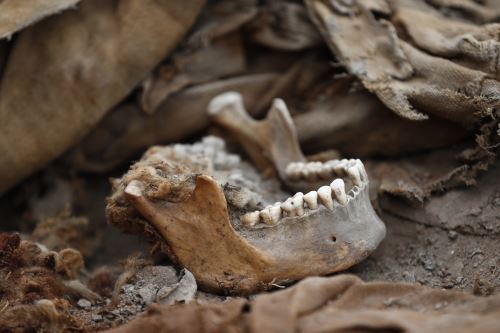 Descubren fardos funerarios de la época inca en huaca Tambo Inga de Puente Piedra
