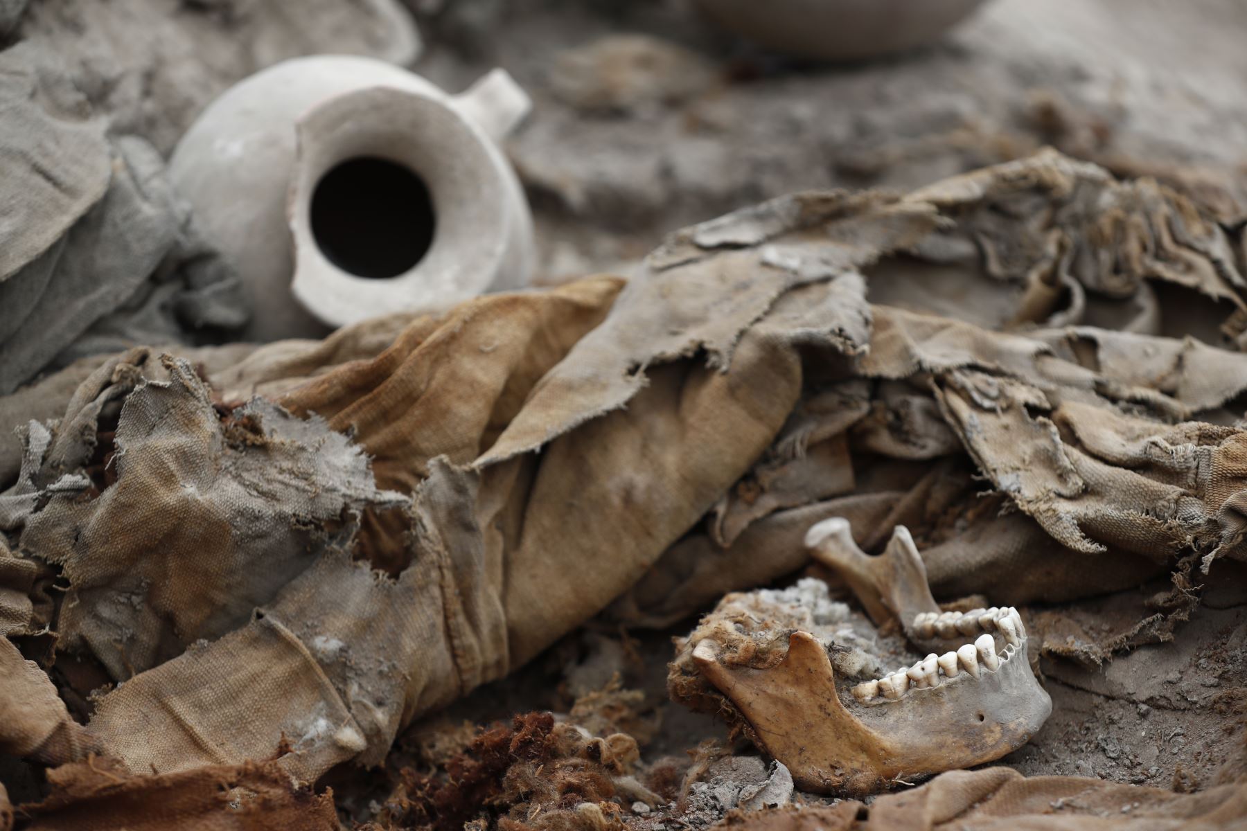 Tras unas excavaciones, descubren 3 momias envueltas en fardos funerarios en la huaca Tambo Inga, ubicada en el distrito de Puente Piedra, con una antigüedad aproximada de 500 años. Foto: ANDINA/Daniel Bracamonte