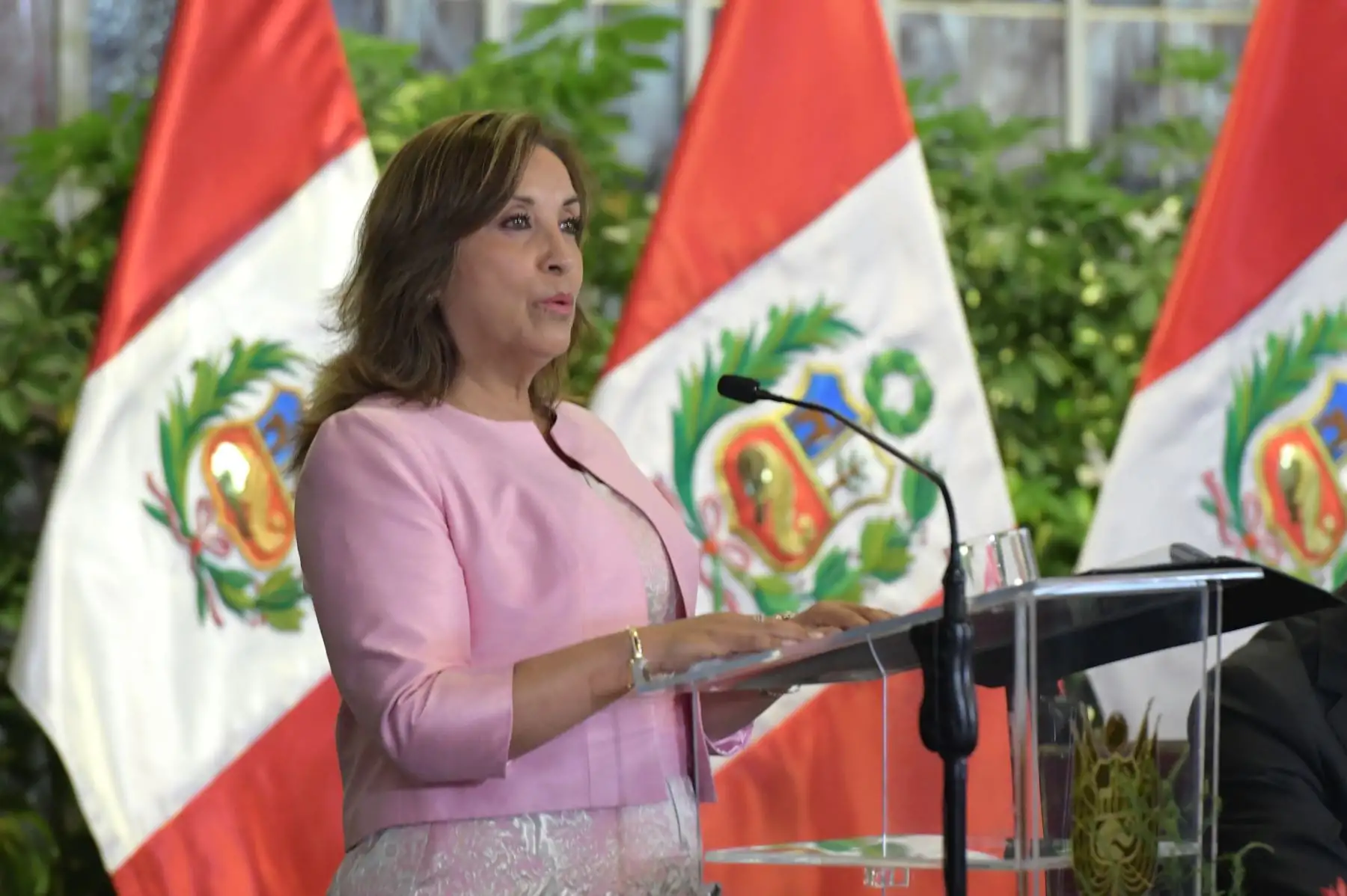 ANDINA/Prensa Presidencia