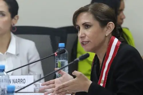 Foto: ANDINA/archivo.