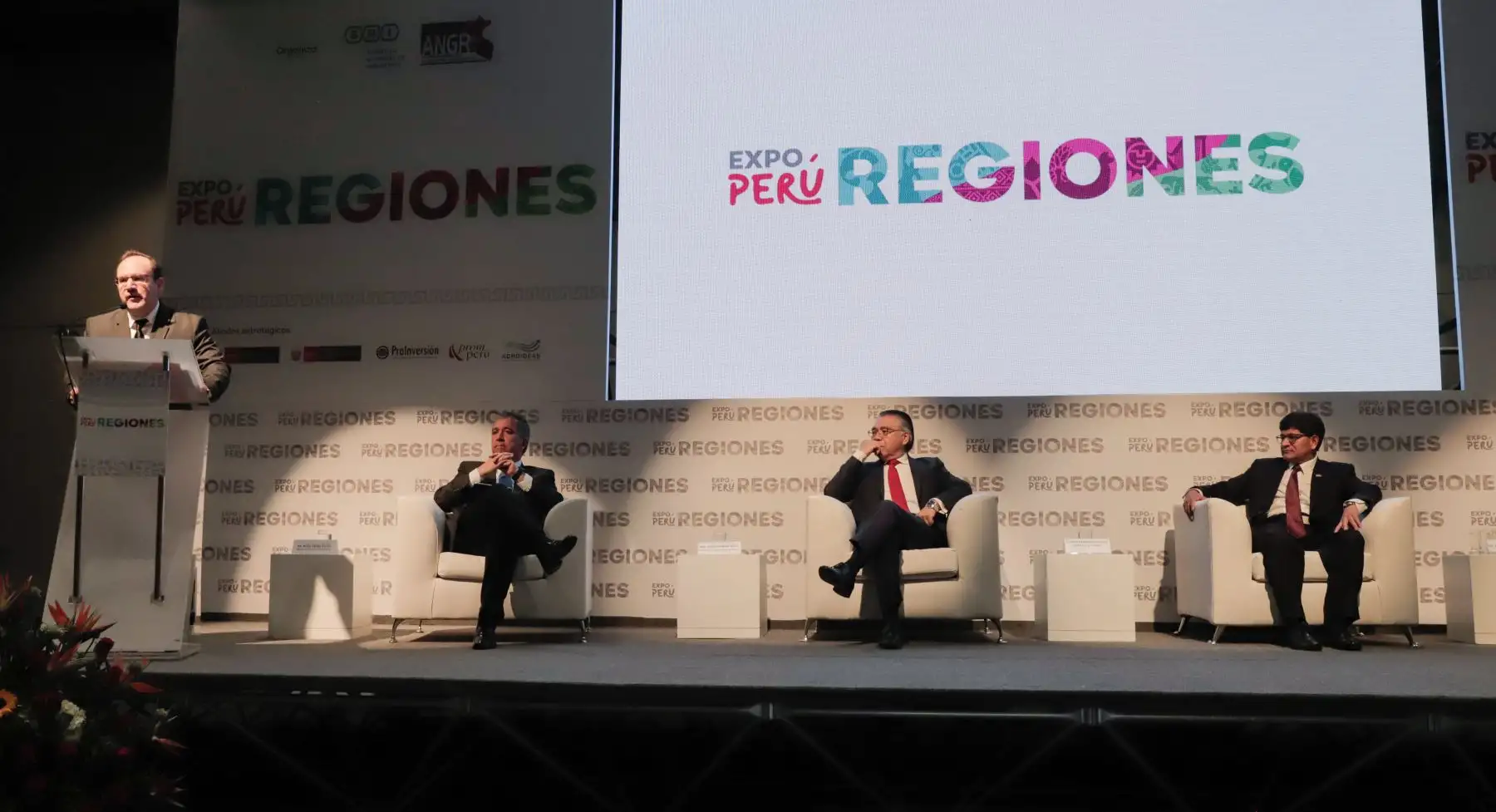 José Salardi, director ejecutivo de ProInversión.