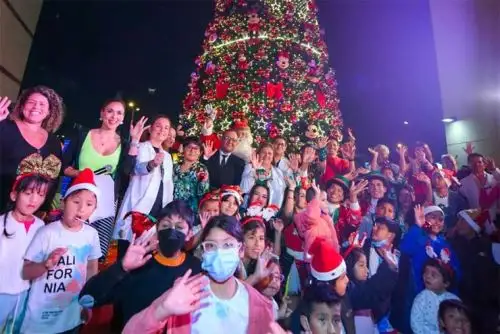 Niños que vencieron una enfermedad compleja encendieron el árbol de la esperanza en el Instituto Nacional de Salud del Niño - San Borja. Foto: Andina/Difusión