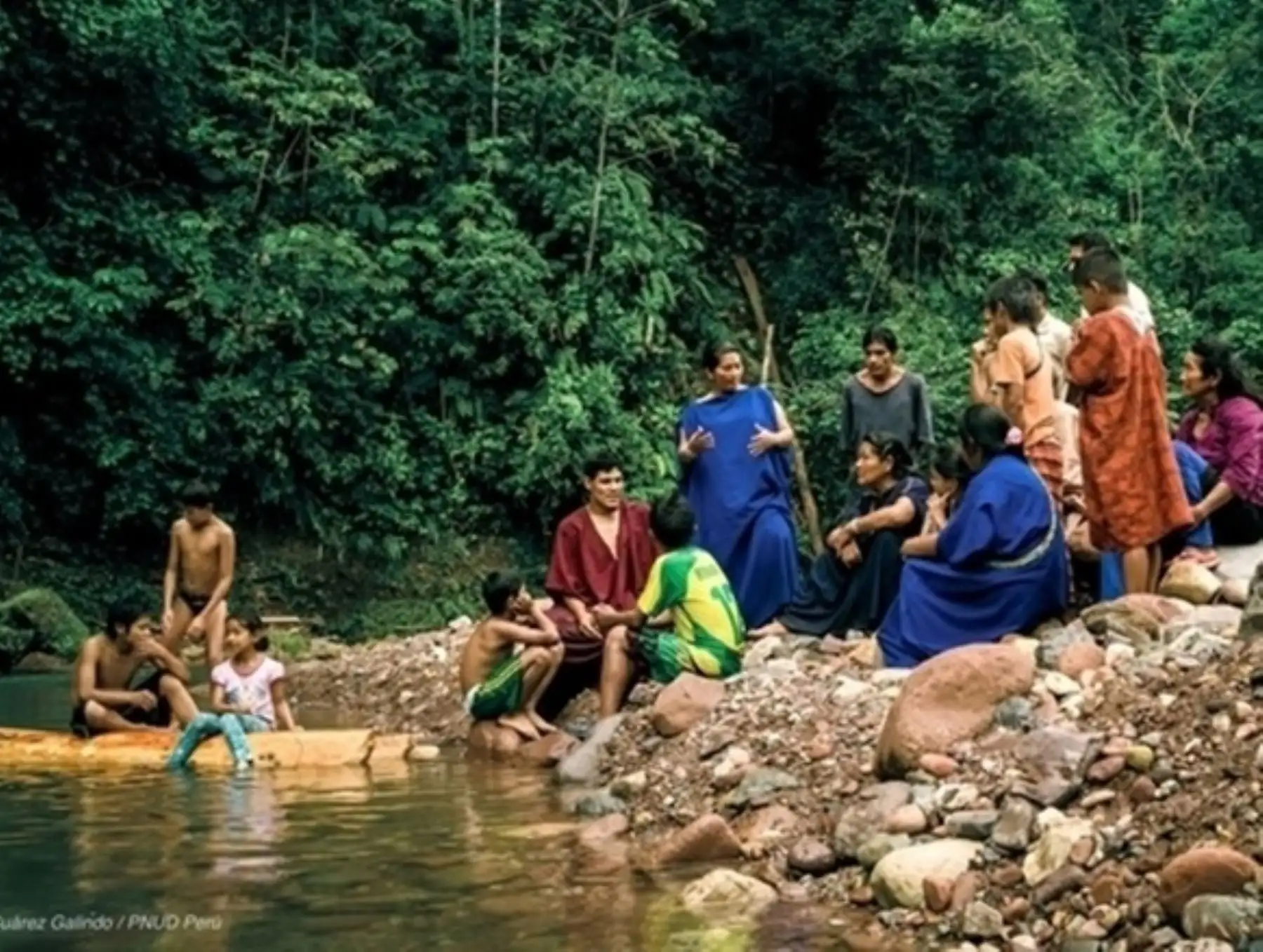 En el marco de la COP 28 el Perú y otros países con bosques tropicales acordaron la creación de una plataforma global para apoyar a los pueblos indígenas en la protección de los bosques. ANDINA/Difusión