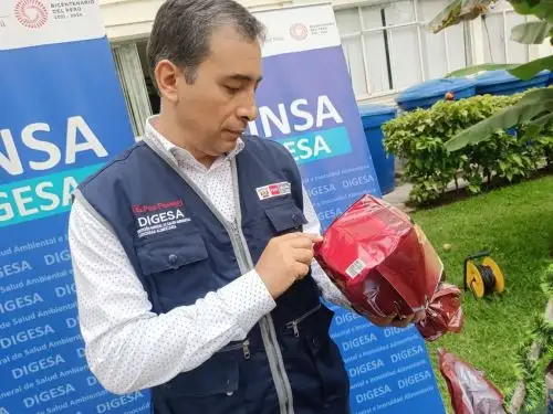 El panetón debe estar etiquetado o rotulado con el nombre del producto, datos del fabricante, ingredientes, fecha de vencimiento, lote de producción, Registro Sanitario y condiciones especiales de conservación.