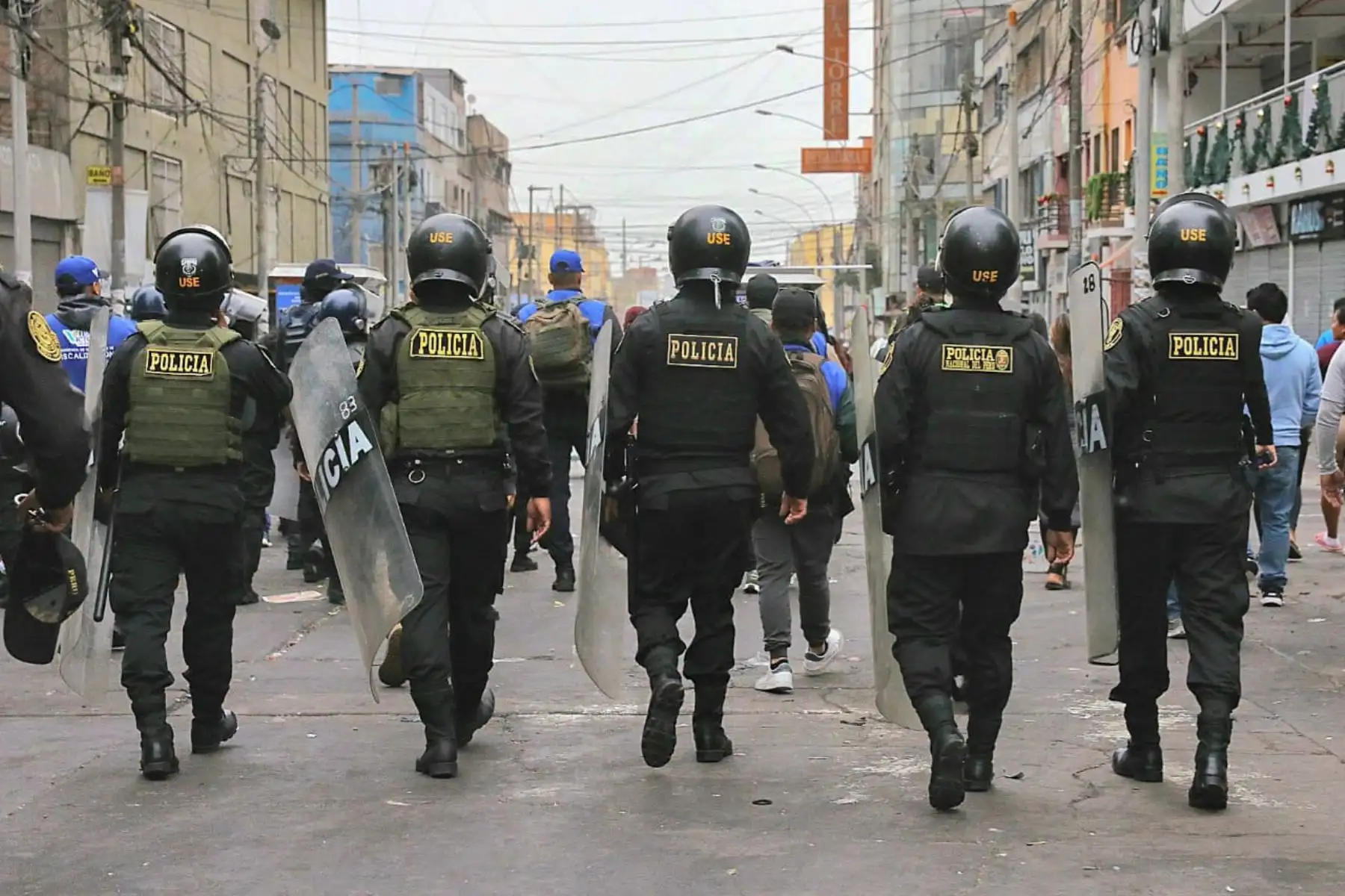 Este despliegue se realiza como parte del Plan Navidad y Año Nuevo Seguros 2023, con el propósito de garantizar el orden público y devolverle la tranquilidad a los comerciantes y compradores que acuden a esta zona concurrida.
Foto: ANDINA/PNP