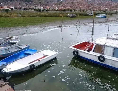 Puno celebra. El lago Titicaca recupera de forma parcial el nivel de sus aguas gracias a las últimas lluvias registradas en esa región. Foto: Alberto Alejo