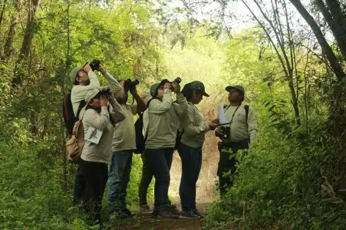 Sé parte del programa de guardaparques voluntarios 2024 de las Áreas Naturales Protegidas