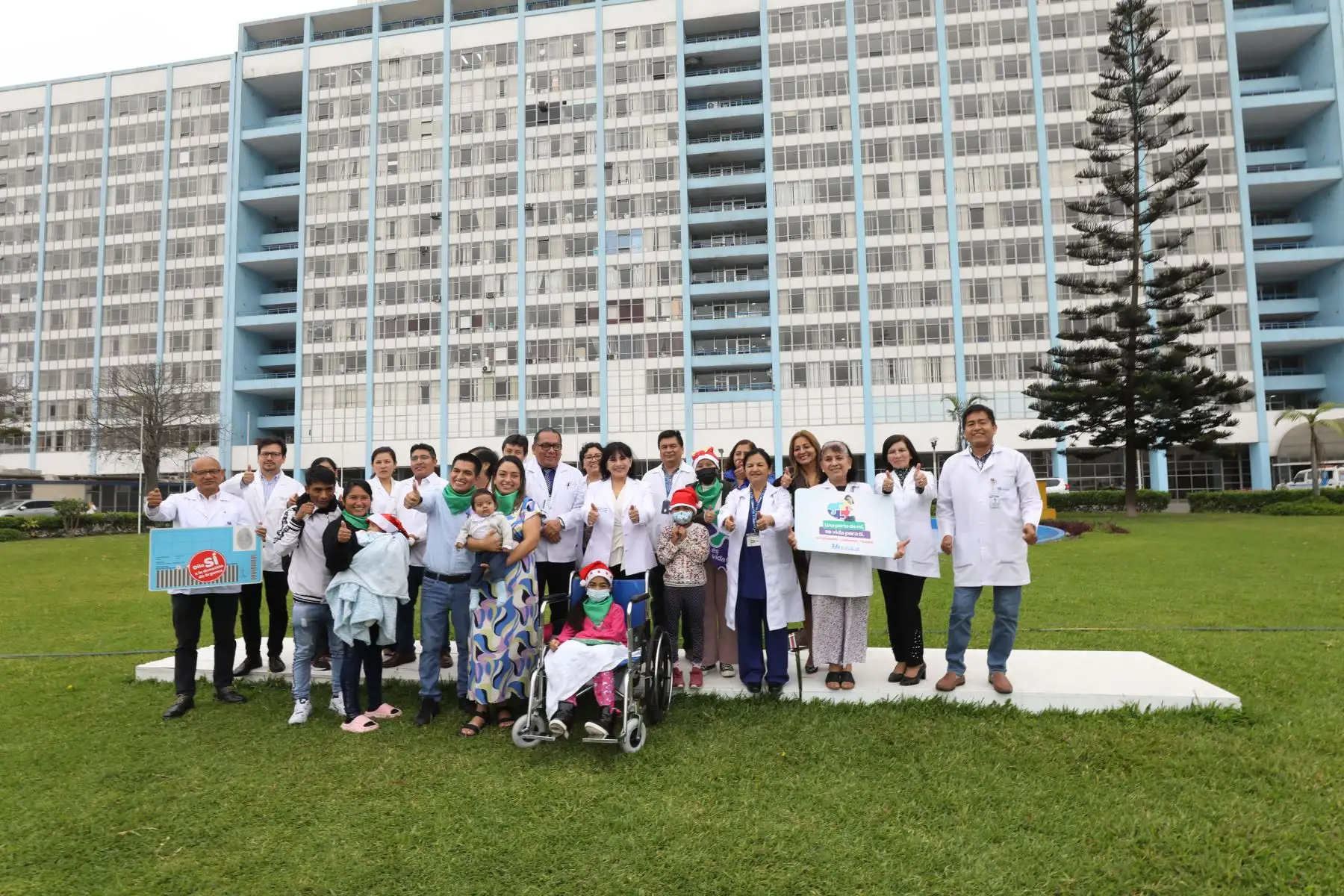 En vísperas de Navidad, tres niños y una joven fueron dados de alta tras ser sometidos a exitosos trasplantes de órganos en el Hospital Nacional Edgardo Rebagliati Martins de EsSalud, en intervenciones quirúrgicas de alta complejidad.
Foto: EsSalud
