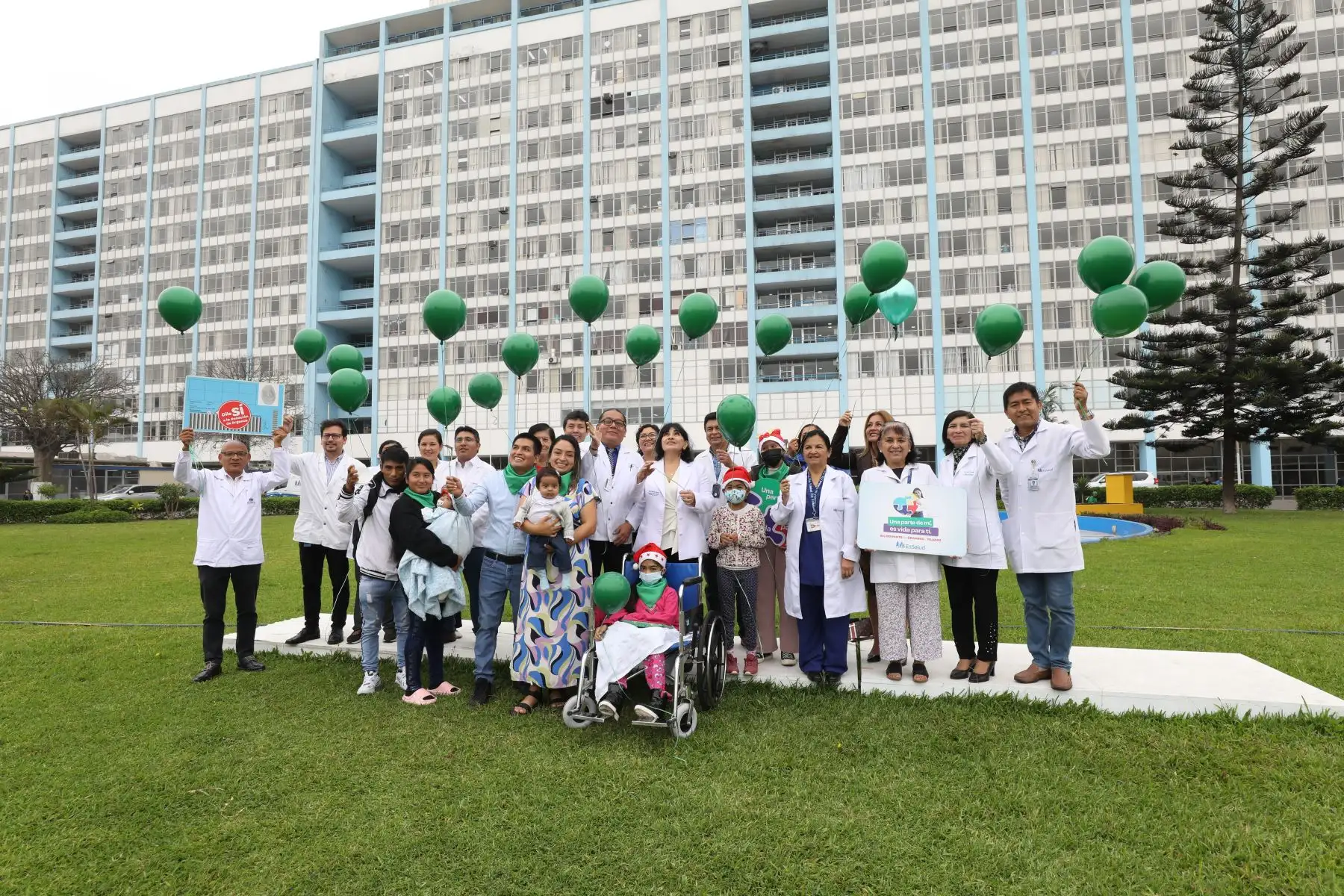 Como una forma de agradecimiento a los donantes de órganos por salvar vidas, la presidenta de EsSalud, pacientes y sus familiares, así como el equipo médico multidisciplinario que participan en los trasplantes de órganos soltaron globos de color verde al cielo en la rotonda del Hospital Nacional Edgardo Rebagliati.
Foto: EsSalud