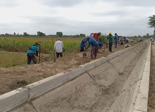 Agricultores del valle del Bajo Piura participan en los trabajos de limpieza y descolmatación en la cuenca del río Piura y en drenes de la zona. ANDINA/Difusión