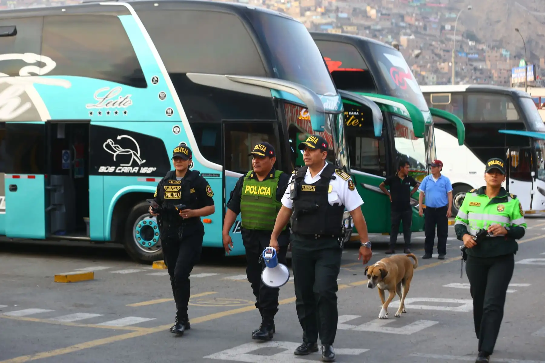 La Policía Nacional del Perú, brindó el "MEGAOPERATIVO PROTECCION AL TURISTA 2023" de la ejecución de operaciones policiales de orientación, seguridad, protección, prevención e identificación de conductores de vehículos formales e informales que brindan el servicio de transporte, a fin de prevenir hechos delictivos en agravio de los turistas. Foto: ANDINA/Eddy Ramos