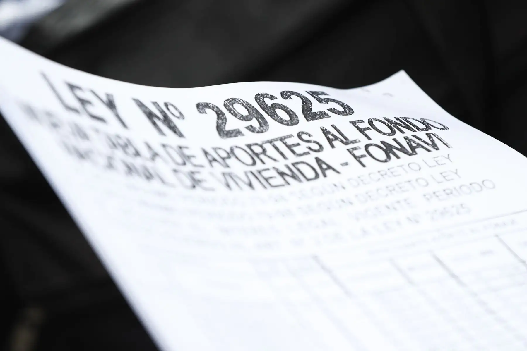 Foto: ANDINA/Daniel Bracamonte.