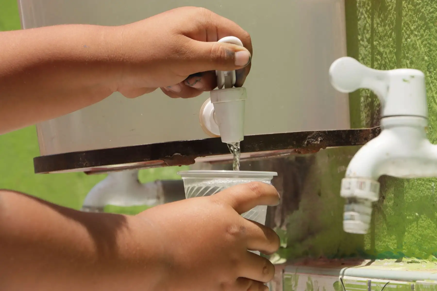 La escasez de agua en el centro poblado Nuevo Toledo, en el distrito de Cieneguilla, hace que la necesidad de recolectarla supere a la preocupación por su calidad. Frente a ello, el colegio Guillermo, ubicado en esa zona de Lima, descubrió un novedoso procedimiento para purificarla a través de la planta moringa.
Foto: ANDINA/Lenin Lobatón