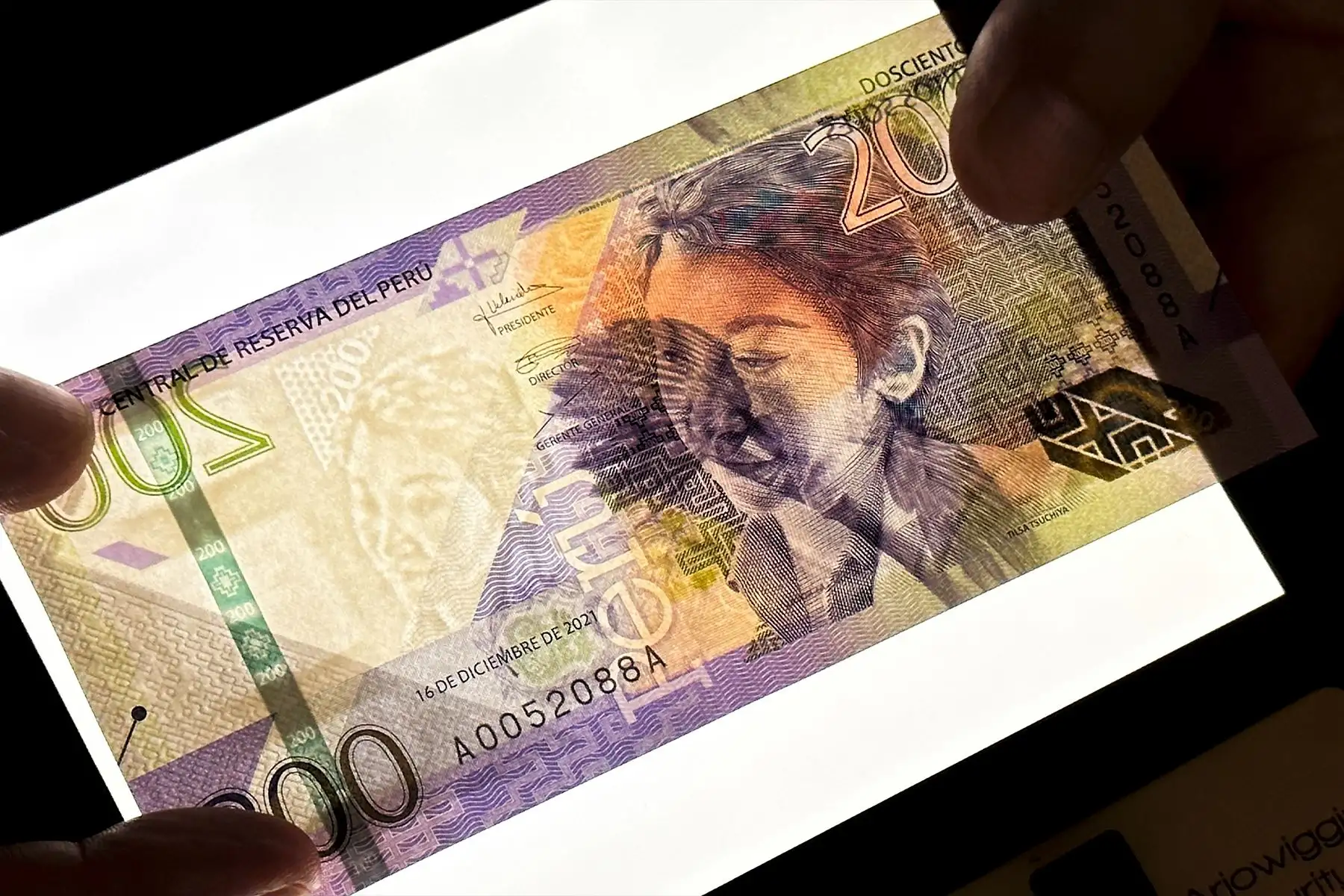 El Banco Central de Reserva del Perú pone en circulación a partir de hoy el nuevo billete de 200 soles que incorpora un moderno diseño, nuevos motivos y renovados elementos de seguridad, completando la emisión de la nueva familia de billetes.Este billete tiene en su anverso la imagen de la pintora Tilsa Tsuchiya Castillo, destacada artista peruana del siglo XX, resaltando además en el reverso nuestra variada flora y fauna. Foto: ANDINA/Braian Reyna