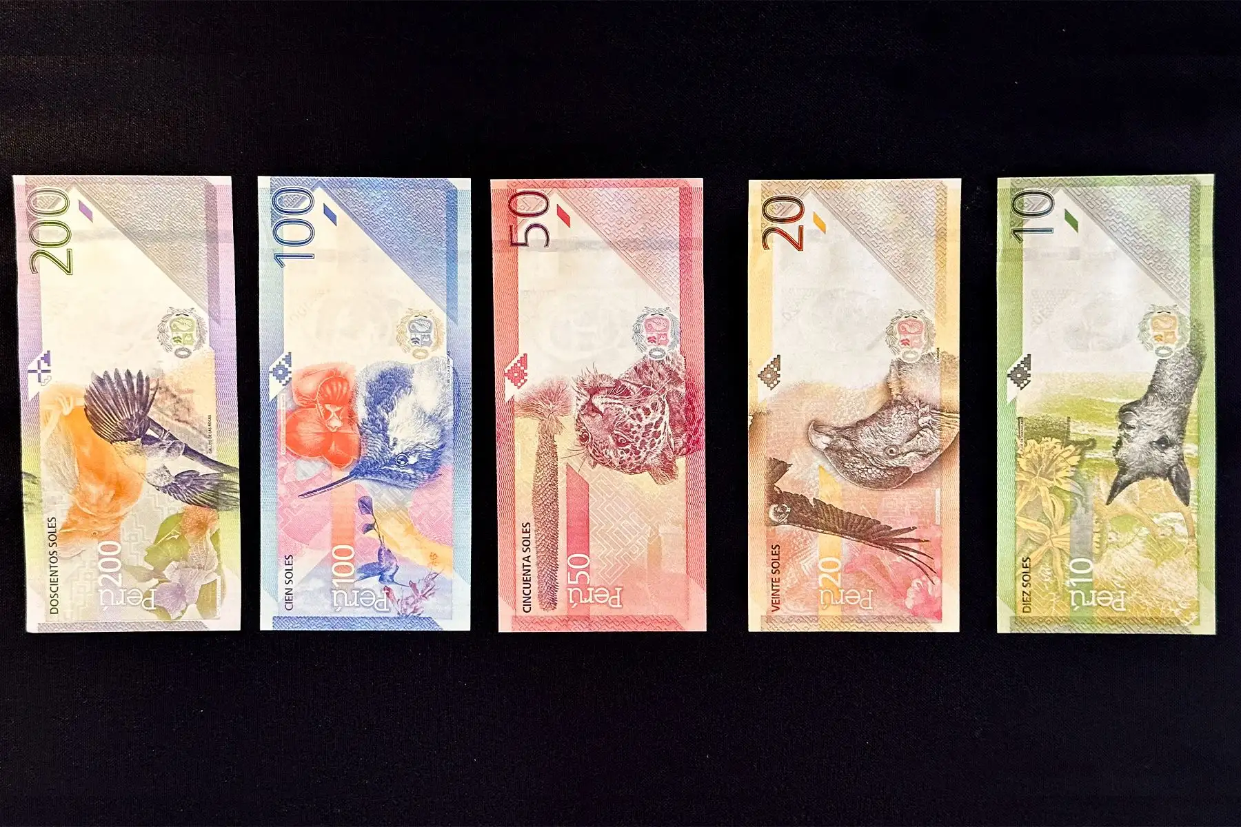 Los billetes de la nueva familia se caracterizan por contar con renovados elementos de seguridad de fácil reconocimiento por parte del público. 
 Foto: ANDINA/Braian Reyna