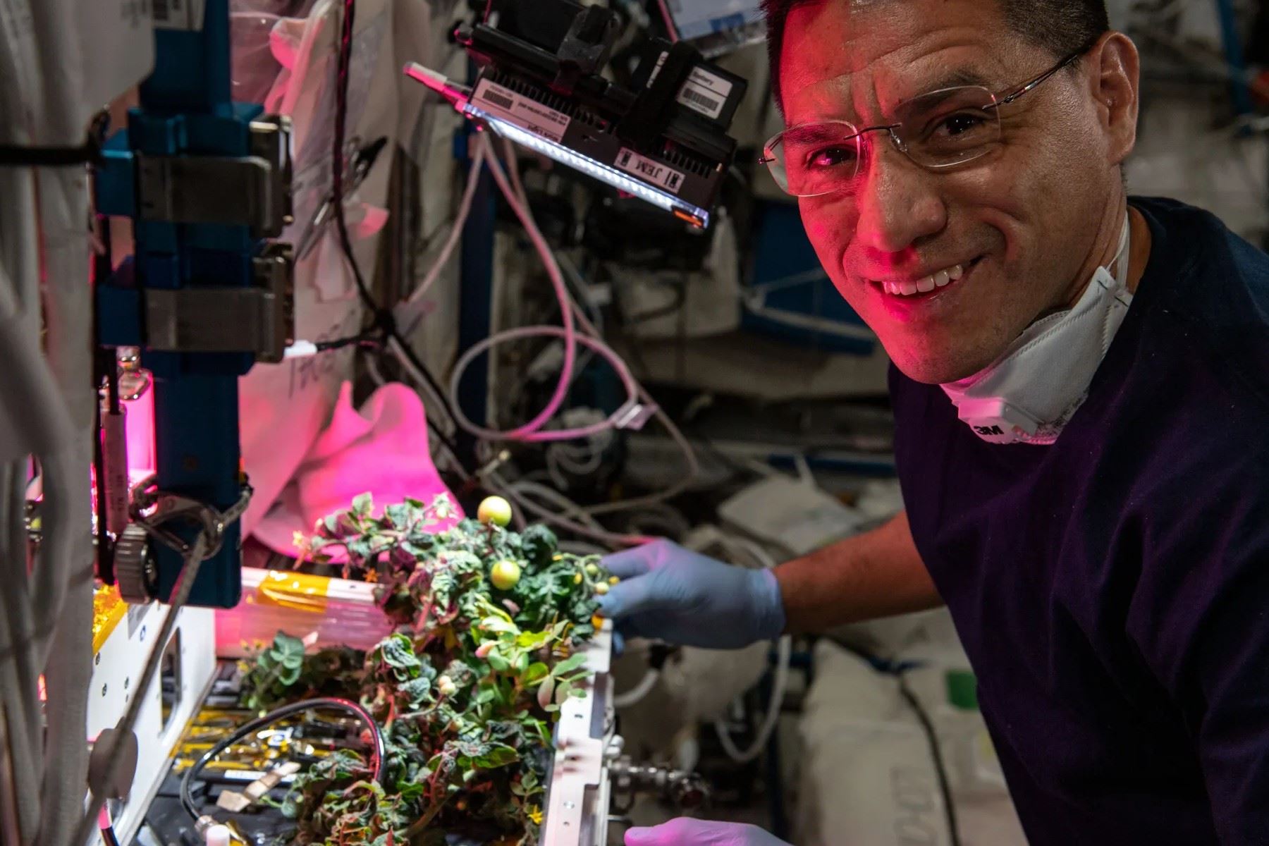 Mientras celebraban el 25.º aniversario de operaciones de la Estación Espacial Internacional, los tripulantes de la Expedición 70 revelaron que encontraron los tomates perdidos.
