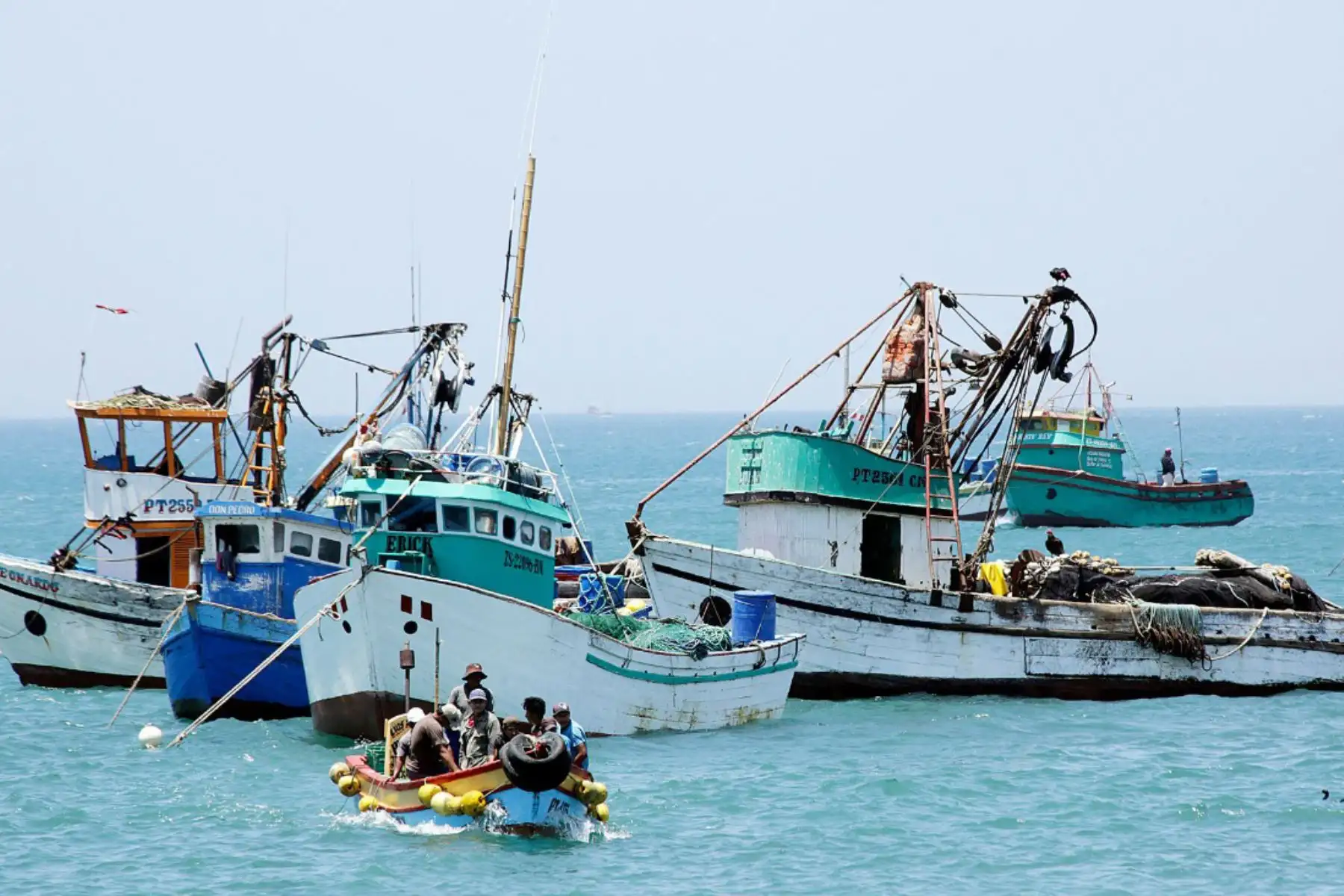 Sanipes: 530,000 consumidores protegidos con nuevas habilitaciones sanitarias pesqueras