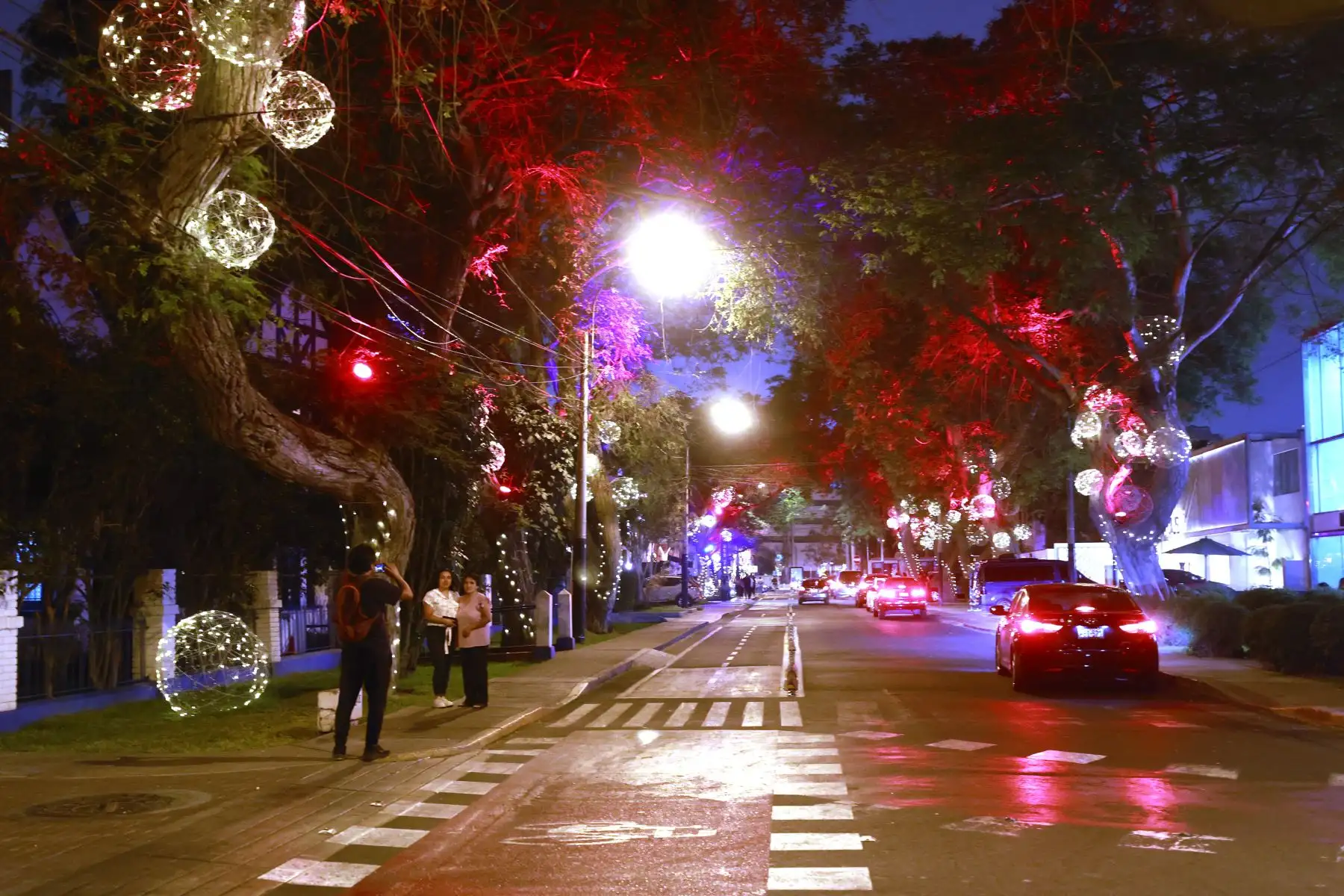 Arboles navideño en Boulevard el Bosque de la av. Daniel Hernandez de San Isidro. Foto: ANDINA/Vidal Tarqui