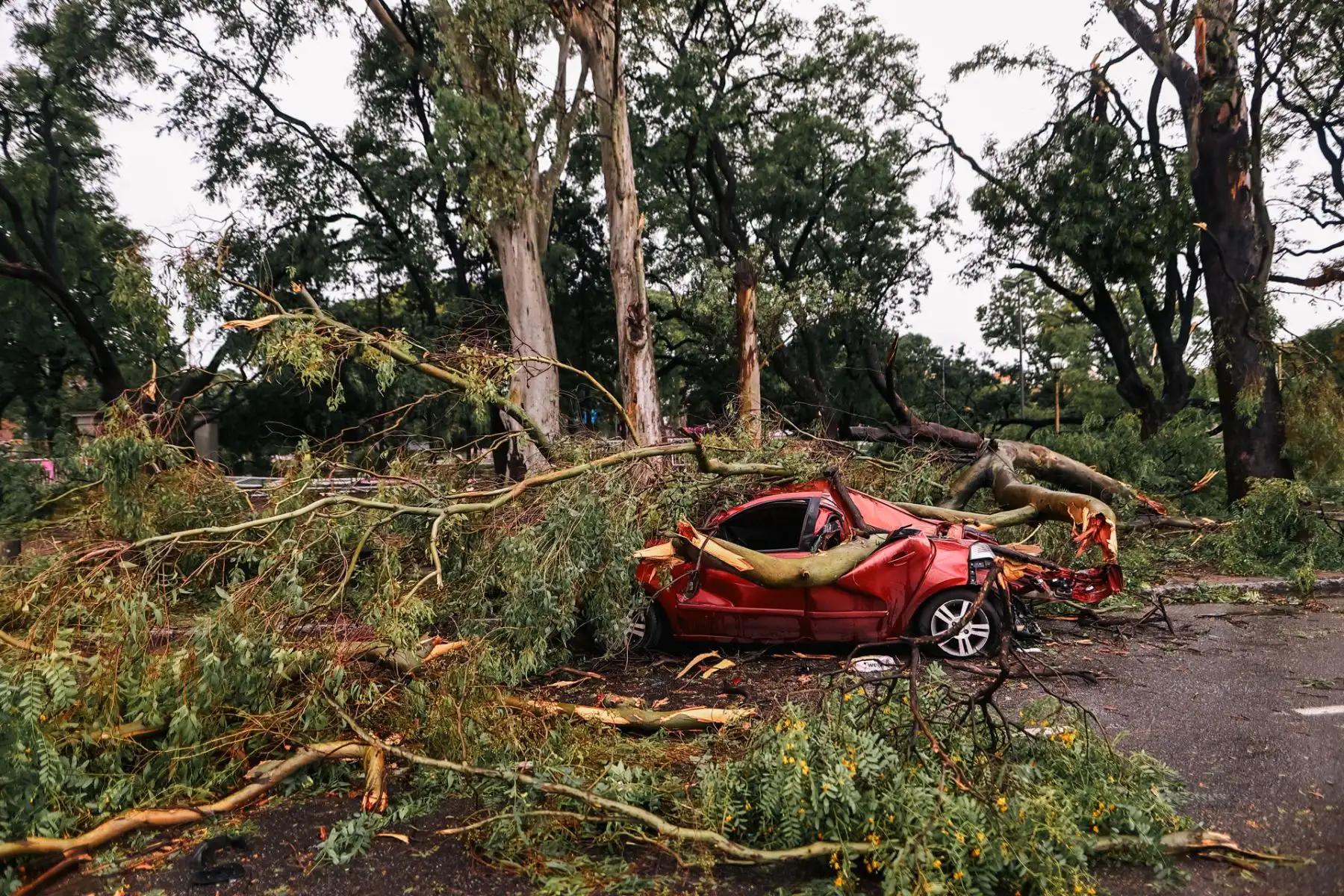 Un severo temporal de fuertes vientos y lluvia azotó en la madrugada de este domingo a la capital de Argentina, Buenos Aires, donde hubo calles inundadas, caídas de árboles, cortes en el suministro eléctrico y la cancelación de vuelos. Foto: EFE
