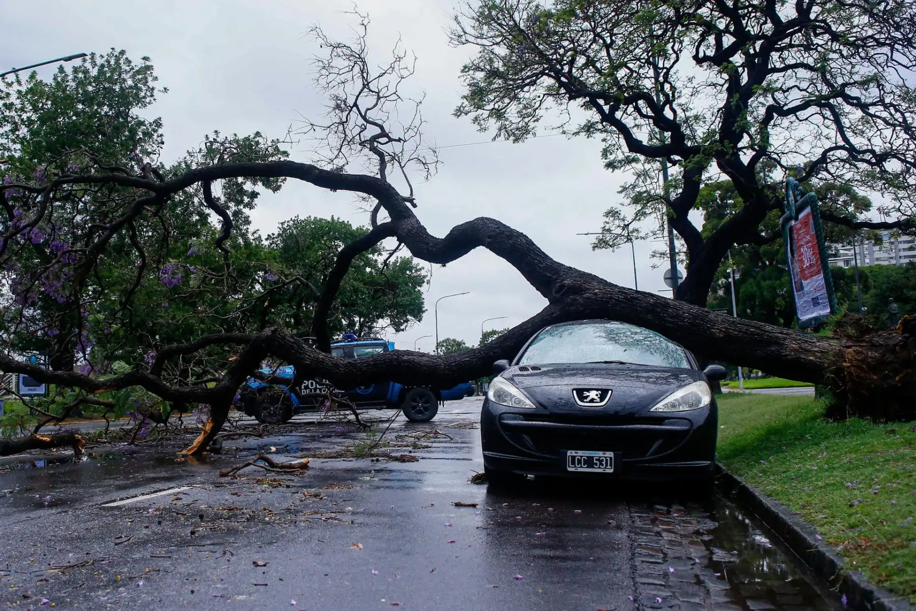Un severo temporal de fuertes vientos y lluvia azotó en la madrugada de este domingo a la capital de Argentina, Buenos Aires, donde hubo calles inundadas, caídas de árboles, cortes en el suministro eléctrico y la cancelación de vuelos. Foto: EFE