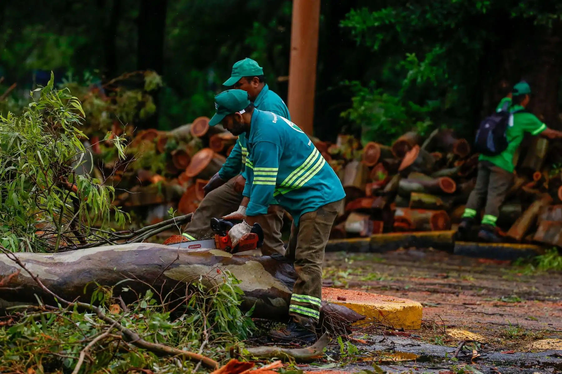 Un severo temporal de fuertes vientos y lluvia azotó en la madrugada de este domingo a la capital de Argentina, Buenos Aires, donde hubo calles inundadas, caídas de árboles, cortes en el suministro eléctrico y la cancelación de vuelos. Foto: EFE