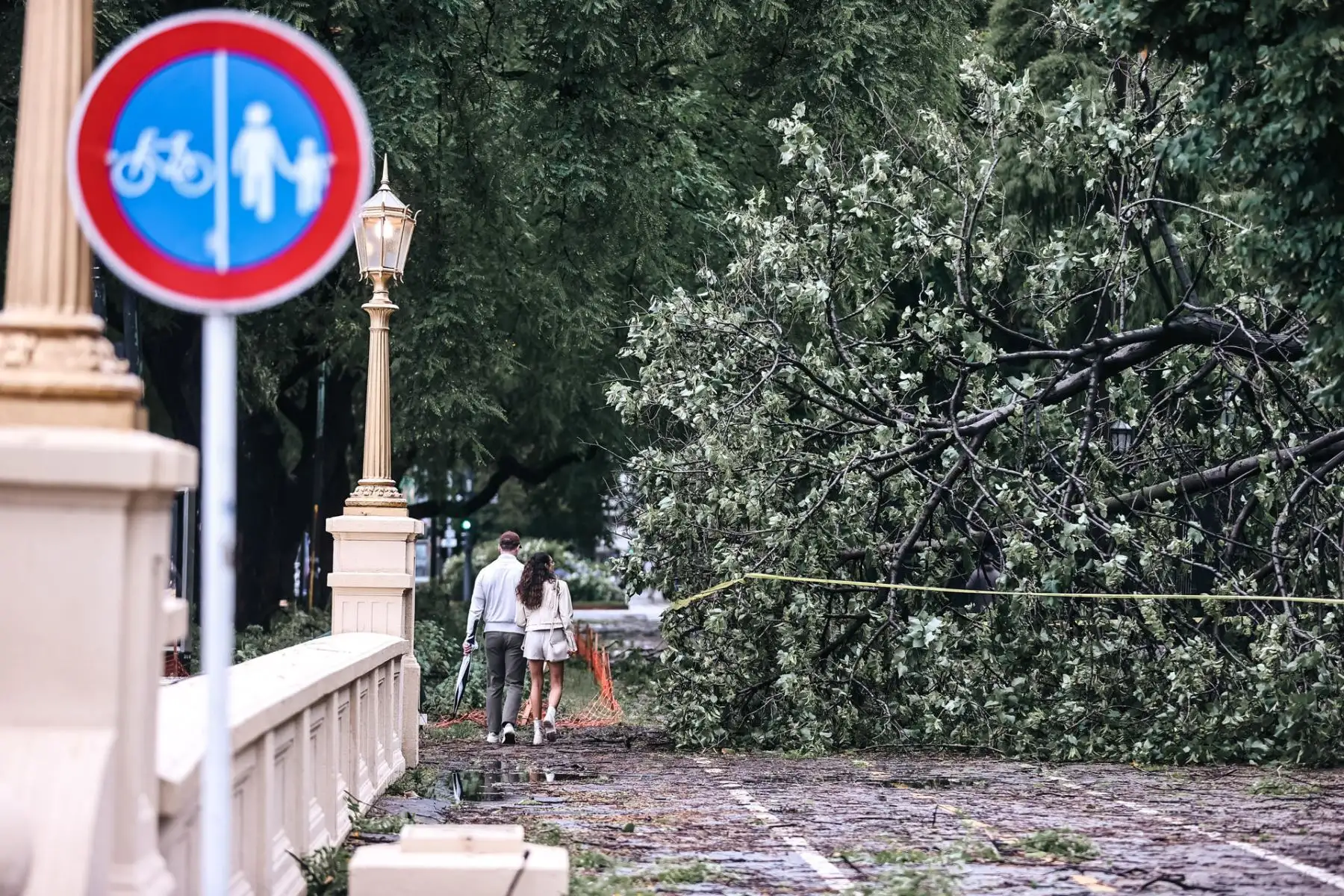 Un severo temporal de fuertes vientos y lluvia azotó en la madrugada de este domingo a la capital de Argentina, Buenos Aires, donde hubo calles inundadas, caídas de árboles, cortes en el suministro eléctrico y la cancelación de vuelos. Foto: EFE
