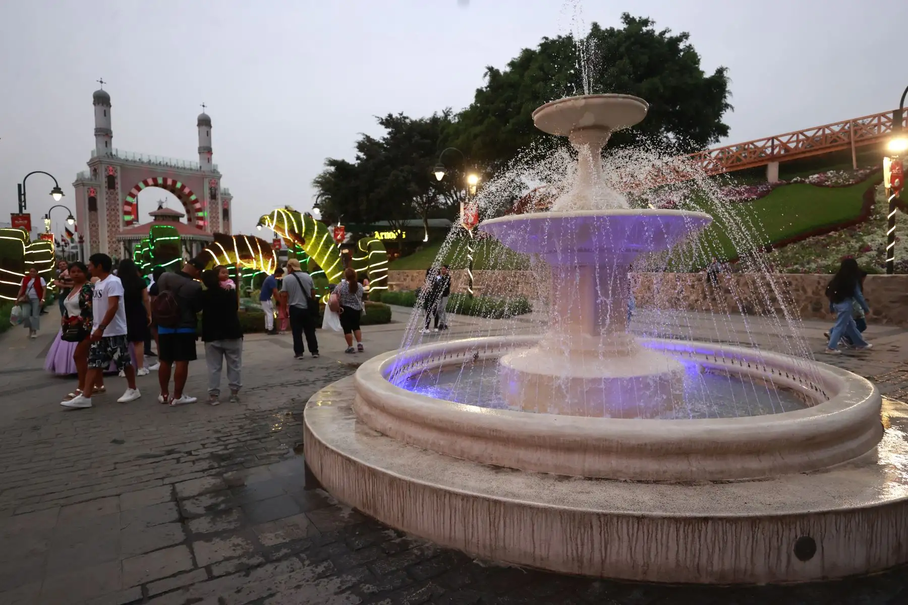 Como es costumbre en fiestas navideñas los principales parques y calles de la ciudad se pintan de color con radiante iluminación festiva. 

Foto: ANDINA/Vidal Tarqui