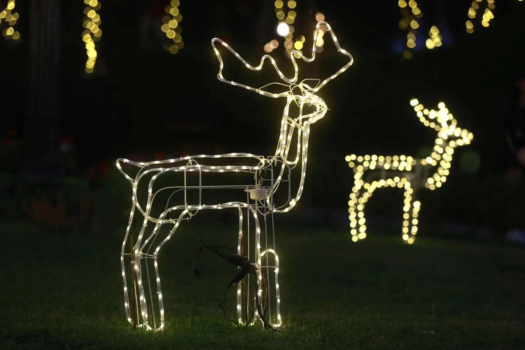 Como es costumbre en fiestas navideñas los principales parques y calles de la ciudad se pintan de color con radiante iluminación festiva. 

Foto: ANDINA/Vidal Tarqui