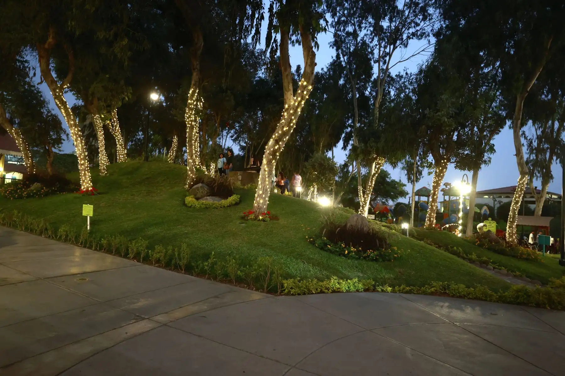Arboles navideño en parque de la amistad distrito de Surco. Foto: ANDINA/Vidal TarquiFoto: ANDINA/Vidal Tarqui