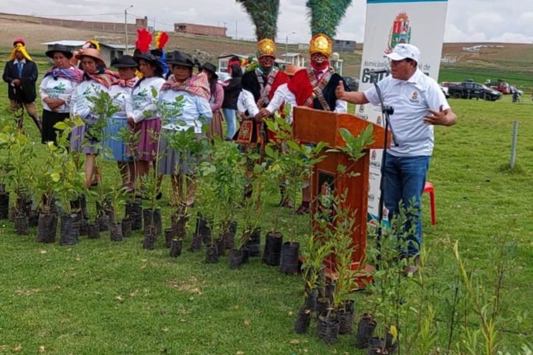 En los terrenos comunales de Chongos Bajo se sembraron más de 11,000 árboles producidos en el vivero municipal de Chupaca, región Junín. Foto: ANDINA/Difusión