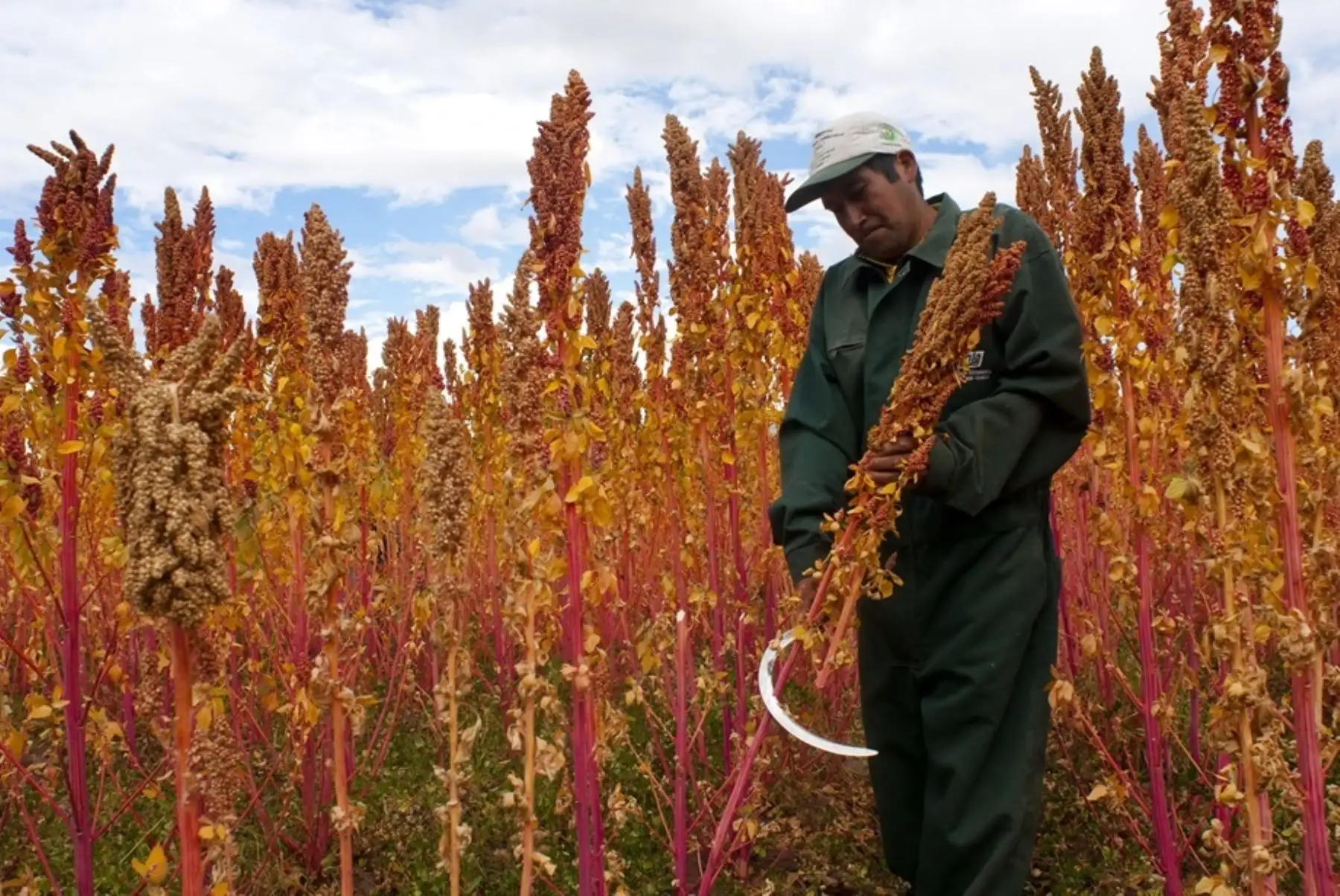 Empresas de cinco regiones obtienen sello nacional de Biocomercio Perú. Cortesía Promperú