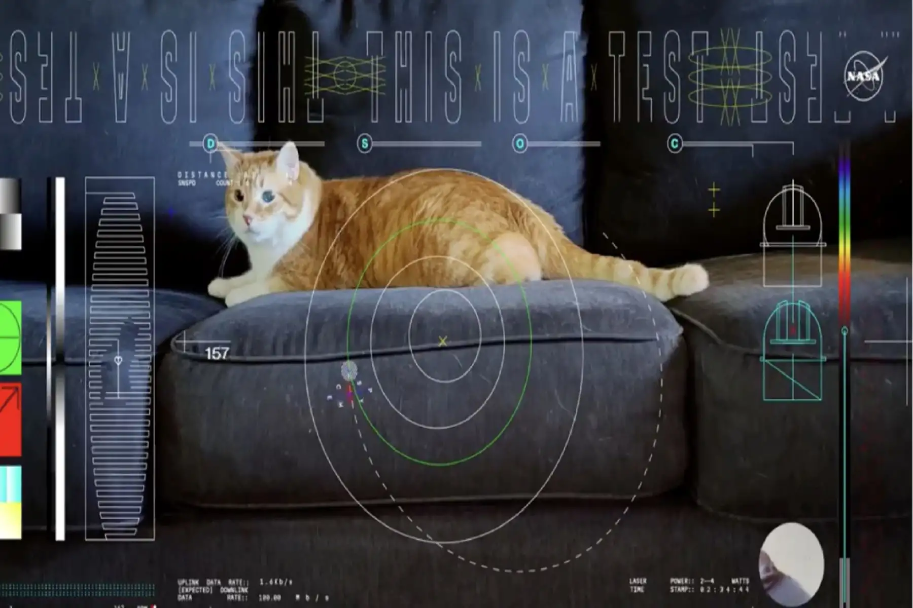 El video del gato fue transmitido a la Tierra desde un transceptor láser de vuelo como parte del experimento Deep Space Optical Communications, o DSOC. Foto: NASA