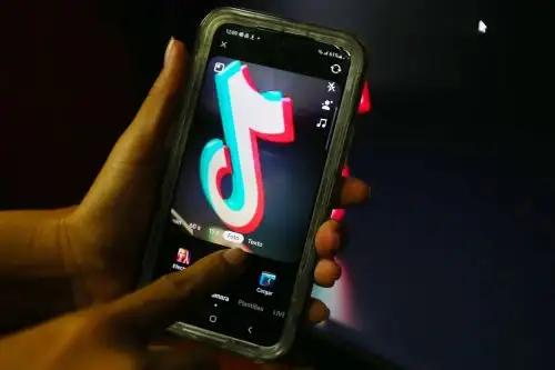 TikTok se convirtió en la primera aplicación no relacionada con videojuegos que alcanzó los 10 mil millones de dólares en compras internas.
