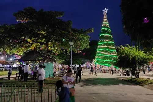El árbol de Navidad instalado en la plaza Juan Valer Sandoval de Pichanaqui tiene 23 metros de altura y fue construido por trabajadores de la municipalidad distrital. Foto: ANDINA/Difusión