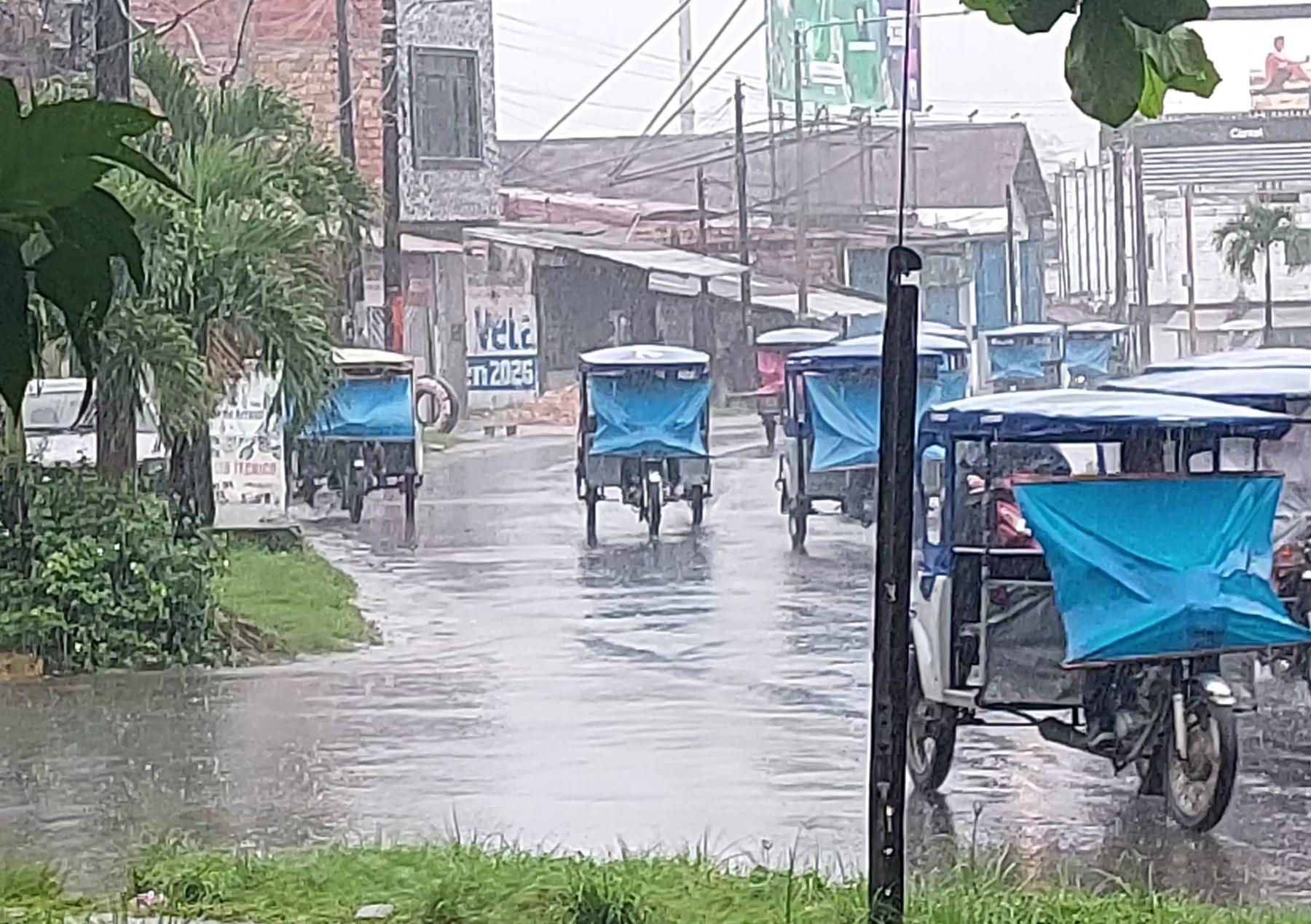 Diversas localidades de la Selva peruana se verán afectadas por la presencia de lluvias de moderada a fuerte intensidad que se registrarán este fin de semana. ANDINA/Difusión